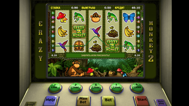 Crazy Monkey 2 7
